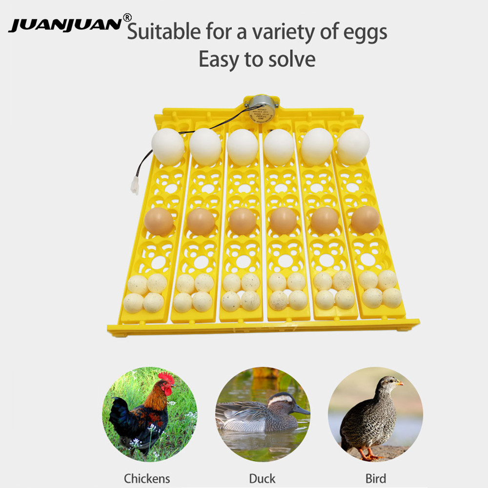 24 Eggs Tray Incubator Turner  – обзор и цена Embroidery Egg